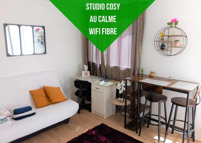 Le Zen -Studio Tout Equipe- Wifi Fibre- Centre Ville Avec Parking