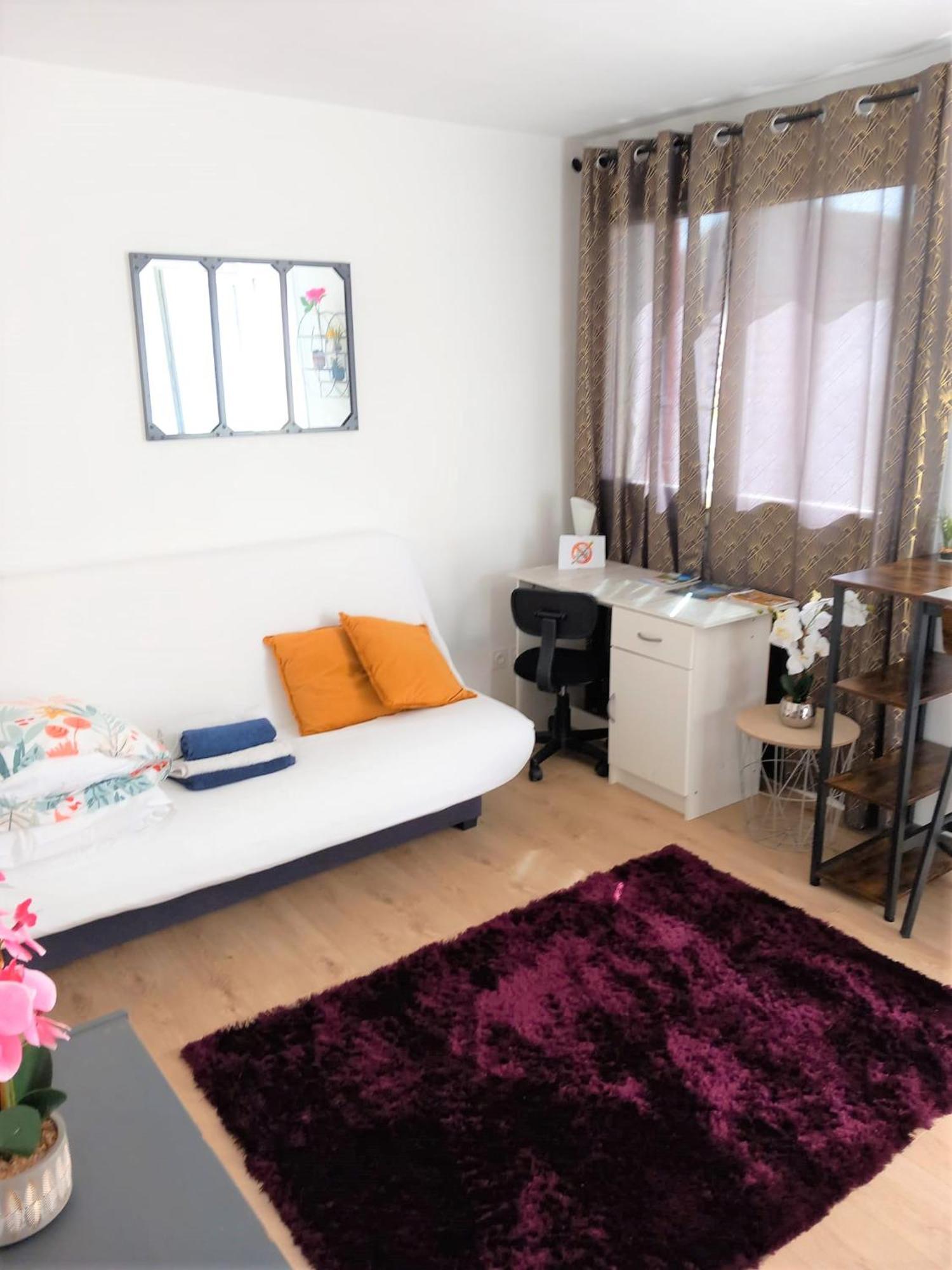 Le Zen -studio Equipe- Wifi Fibre- Centre Avec Parking *